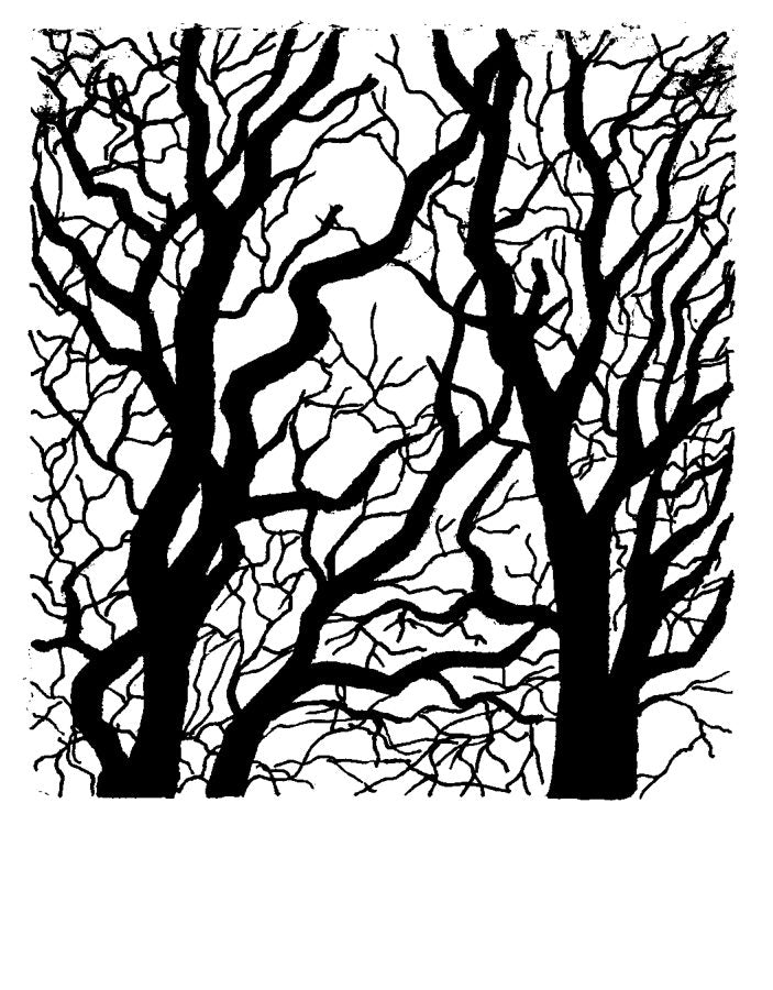 Hand-drawn sketch by Akif Kichloo